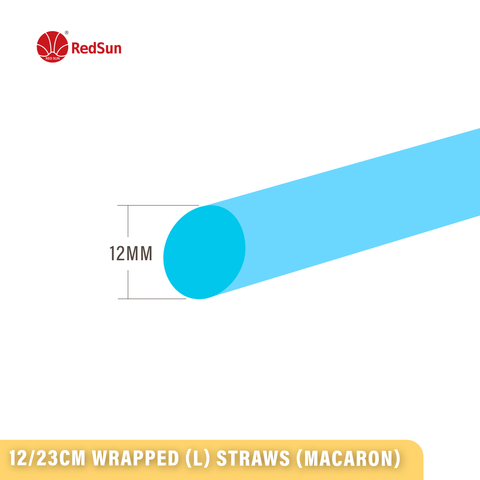 12/23CM WRAPPED STRAWS (MACARON MULTI-COLORS)